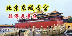 两个老外同时操亚洲女孕妇鸡巴中国北京-东城古宫旅游风景区